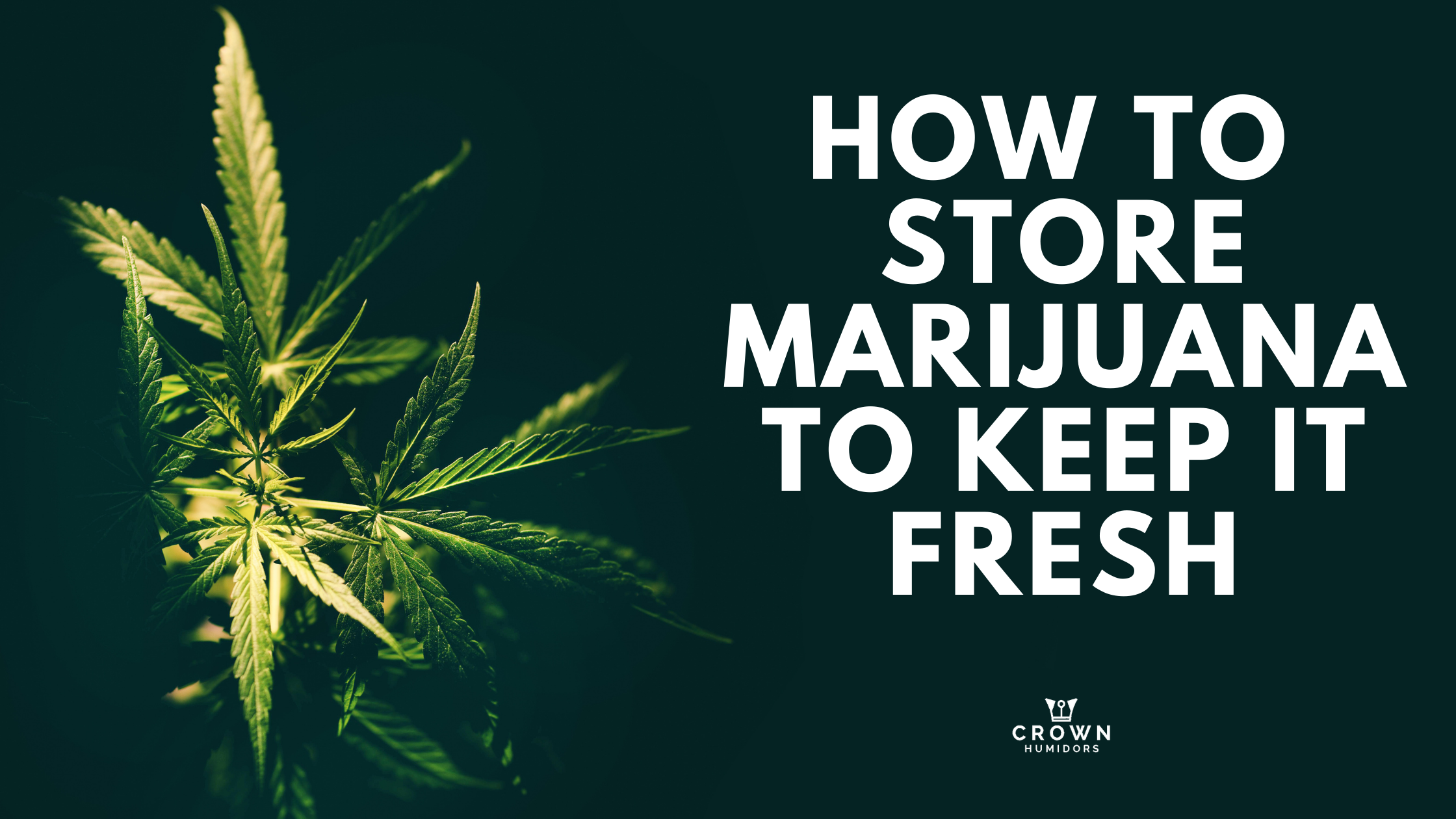 How to Store Marijuana to keep it fresh