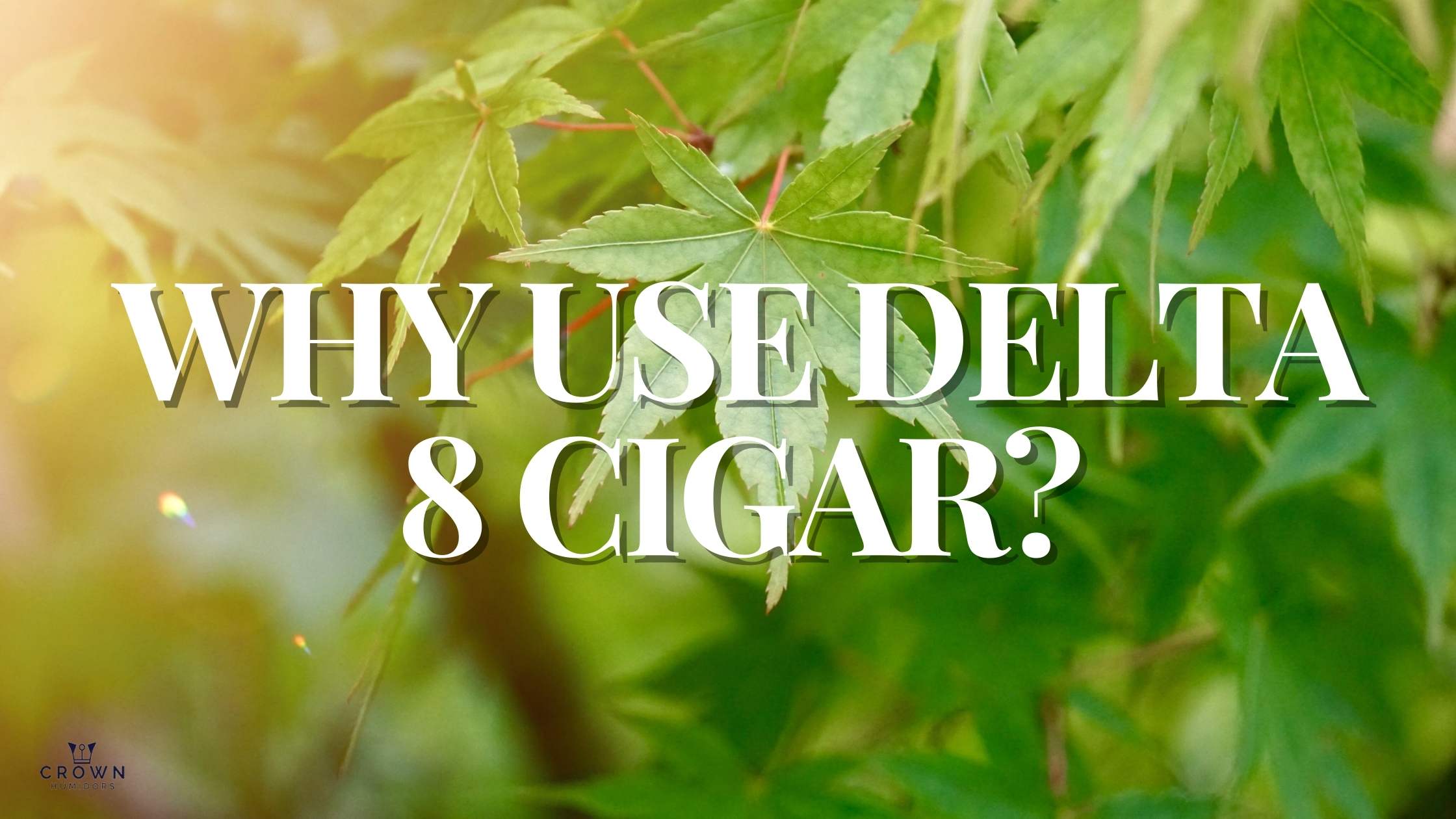 Why Use Delta 8 Cigar?