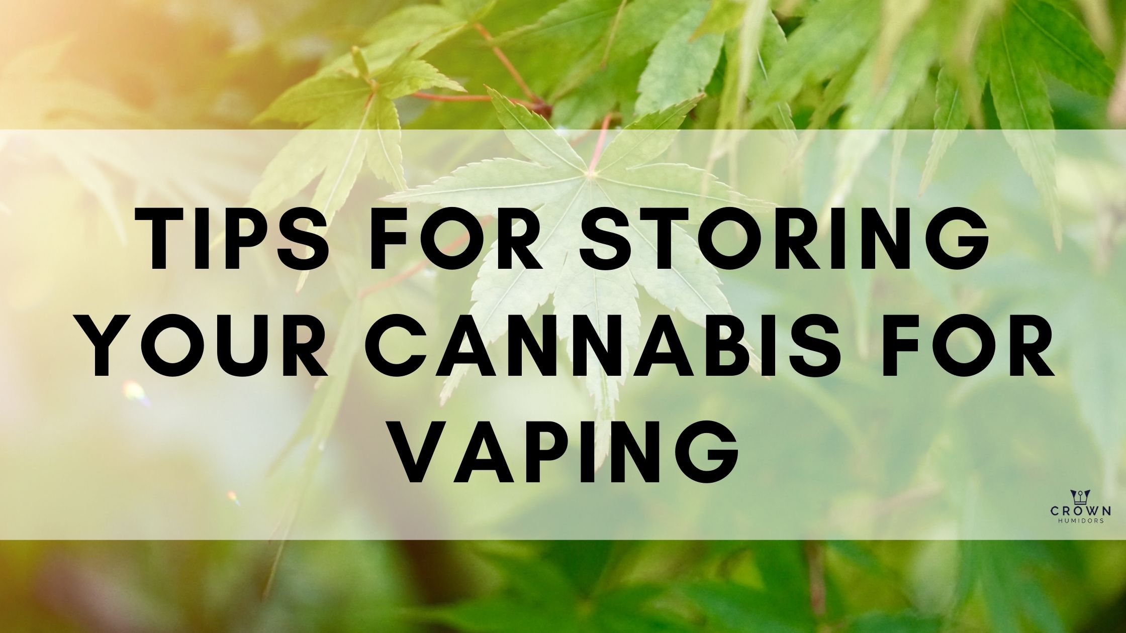 Tips for storing your cannabis for vaping